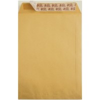 ASİL AS-0864 Formula Torba Zarf 26x35 Silikonlu 100 Gr 
