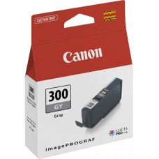 Canon PFI-300GY EUR/OCN Gri Orijinal Mürekkep Kartuş 4200C001