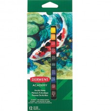 Derwent 2302401 Akrilik Boya Asorti 12'Li