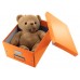 Leitz 6044 WOW C&S Orta Boy Kutu Metalik Turuncu Leitz 6044 WOW C&S Orta Boy Kutu Metalik Turuncu